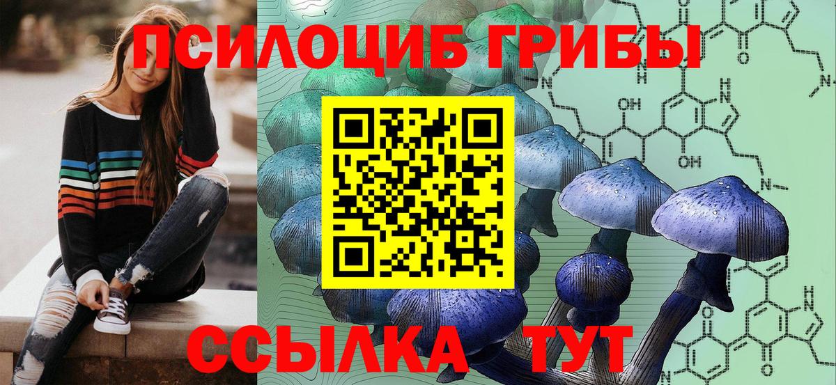 Татарск  Галлюциногенные грибы мицелий  Галлюциногенные грибы мухоморы  Вход с VPN 